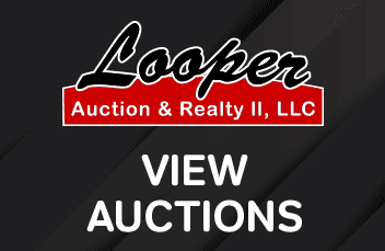 View Auctions