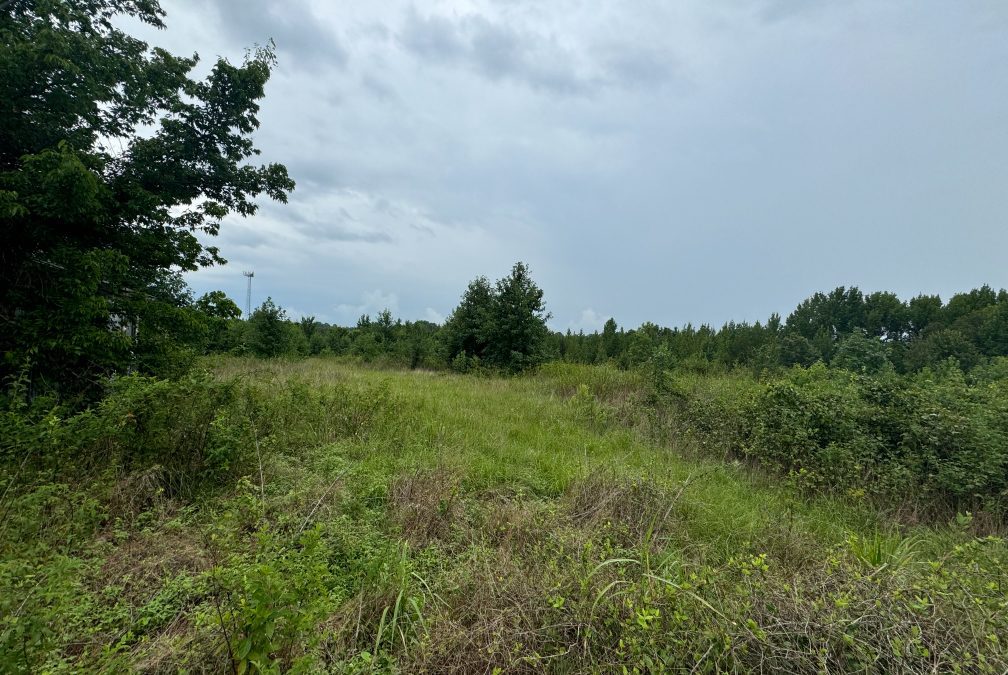LAND AUCTION – AUGUST 16th @ 1:00 PM