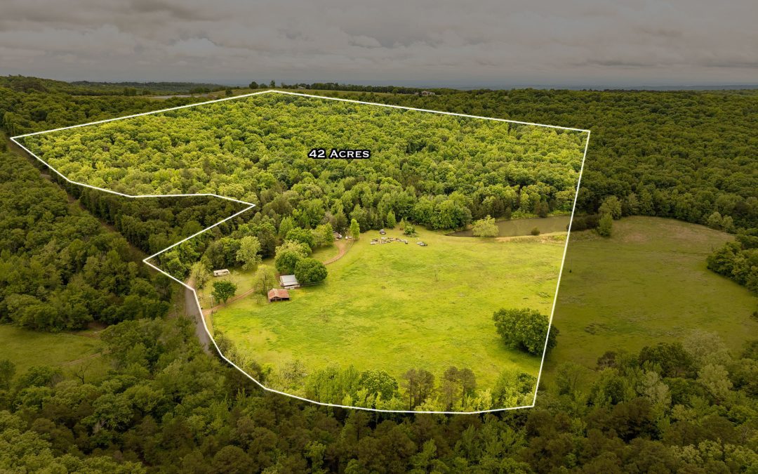 AUCTION INCLUDING REAL ESTATE – JUNE 10th @ 10:00 AM