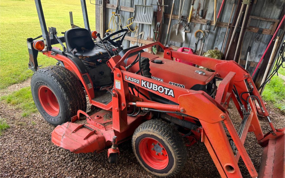 AUCTION – JUNE 17TH @ 10 AM