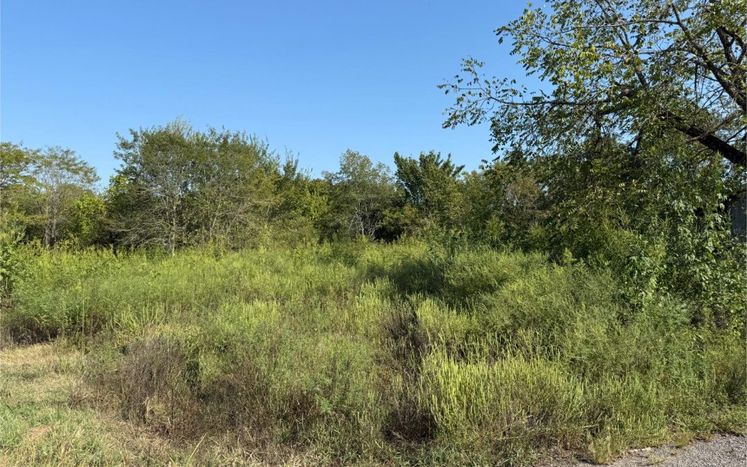 REAL ESTATE AUCTION – OCTOBER 17TH @ 11 AM – SELLS REGARDLESS OF PRICE!